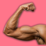 High Protein