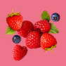 Fruit