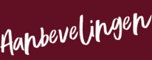 Aanbevelingen