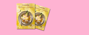 Catalogus bestellen